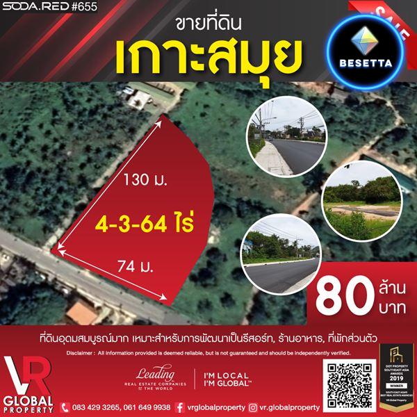 รหัสทรัพย์ 164 Land for sale in Samui island, ขายที่ดินบนเกาะสมุย มีความอุดมสมบูรณ์มาก อยู่บนทำเลที่ดี ติดถนน